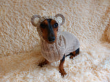 Bear costume made of alpaca wool for dogs, dachshund bear set sweater and hat