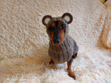 Bear costume made of alpaca wool for dogs, dachshund bear set sweater and hat
