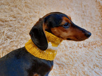 Wool snood collar for pets with bones, dog snood with warm neck made of wool with bones