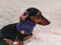 Wool scarf snood for dog, scarf snood for small dogs, snood for dachshund, scarf for dachshund