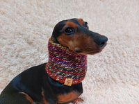 Wool scarf snood for dog with flower, scarf snood for small dogs, snood for dachshund, scarf for dachshund