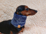 Wool scarf snood for dog with flower, scarf snood for small dogs, snood for dachshund, scarf for dachshund