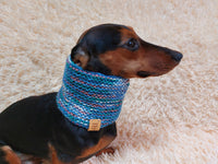 Wool scarf snood for dog with flower, scarf snood for small dogs, snood for dachshund, scarf for dachshund