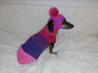 Knitted dog costume set sweater and hat, mini dachshund sweater and hat,suit set sweater and hat for dog,wiener sweater and hat