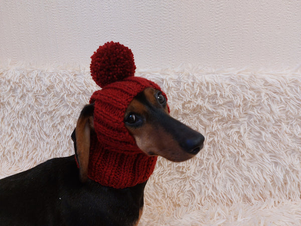 Hat for dog with pompom and holes for the ears