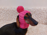 Hat for dog with pompom and holes for the ears