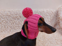 Hat for dog with pompom and holes for the ears