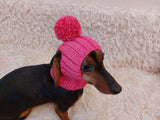 Hat for dog with pompom and holes for the ears