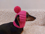 Hat for dog with pompom and holes for the ears