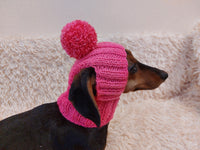 Hat for dog with pompom and holes for the ears