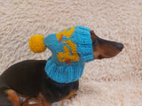 Duck clothes hat for dachshund or small dog