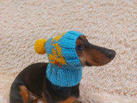 Duck clothes hat for dachshund or small dog