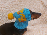 Duck clothes hat for dachshund or small dog