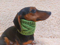 Warm winter woolen snood for dog - warm snood for dog with braid on the neck - clothes for a dachshund