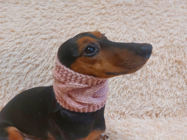 Warm winter woolen snood for dog - warm snood for dog with braid on the neck - clothes for a dachshund