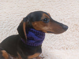 Warm winter woolen snood for dog - warm snood for dog with braid on the neck - clothes for a dachshund