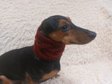 Warm winter woolen snood for dog - warm snood for dog with braid on the neck - clothes for a dachshund