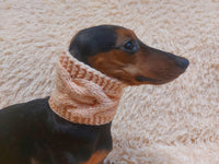 Warm winter woolen snood for dog - warm snood for dog with braid on the neck - clothes for a dachshund