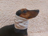 Warm winter woolen snood for dog - warm snood for dog with braid on the neck - clothes for a dachshund