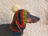 Rainbow striped snood hat for dogs, rainbow hat for dachshunds with open ears