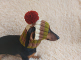 Rainbow striped snood hat for dogs, rainbow hat for dachshunds with open ears