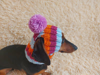 Rainbow striped snood hat for dogs, rainbow hat for dachshunds with open ears