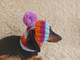 Rainbow striped snood hat for dogs, rainbow hat for dachshunds with open ears