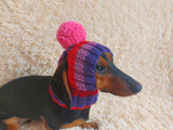 Rainbow striped snood hat for dogs, rainbow hat for dachshunds with open ears