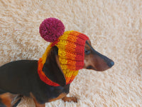 Rainbow striped snood hat for dogs, rainbow hat for dachshunds with open ears