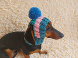 Rainbow striped snood hat for dogs, rainbow hat for dachshunds with open ears