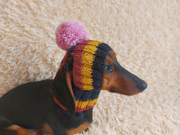 Rainbow striped snood hat for dogs, rainbow hat for dachshunds with open ears