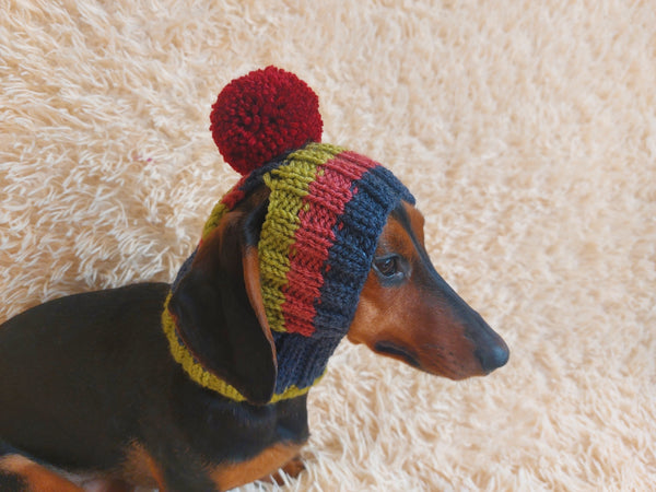 Rainbow striped snood hat for dogs, rainbow hat for dachshunds with open ears
