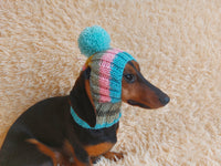 Rainbow striped snood hat for dogs, rainbow hat for dachshunds with open ears