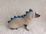 Dragon Dinosaur Winter Dog Clothes Costume Jumper and Hat