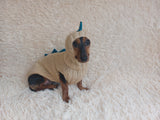 Dragon Dinosaur Winter Dog Clothes Costume Jumper and Hat