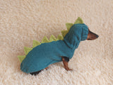 Dragon Dinosaur Winter Dog Clothes Costume Jumper and Hat