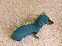 Dragon Dinosaur Winter Dog Clothes Costume Jumper and Hat