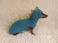 Dragon Dinosaur Winter Dog Clothes Costume Jumper and Hat