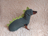 Dinosaur costume for dogs, dachshund dinosaur costume sweater and hat, dino dog cloches, dino dog sweater