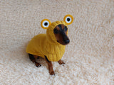 Pet Frog Costume - Halloween Costume Frog Sweater and Hat - Dachshund Frog Set for Dog Photo Shoot-Halloween dog costume for small dog Frog