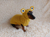 Pet Frog Costume - Halloween Costume Frog Sweater and Hat - Dachshund Frog Set for Dog Photo Shoot-Halloween dog costume for small dog Frog