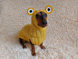 Pet Frog Costume - Halloween Costume Frog Sweater and Hat - Dachshund Frog Set for Dog Photo Shoot-Halloween dog costume for small dog Frog