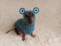 Pet Frog Costume - Halloween Costume Frog Sweater and Hat - Dachshund Frog Set for Dog Photo Shoot-Halloween dog costume for small dog Frog