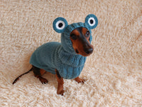 Pet Frog Costume - Halloween Costume Frog Sweater and Hat - Dachshund Frog Set for Dog Photo Shoot-Halloween dog costume for small dog Frog