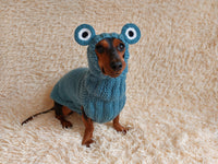 Pet Frog Costume - Halloween Costume Frog Sweater and Hat - Dachshund Frog Set for Dog Photo Shoot-Halloween dog costume for small dog Frog