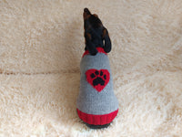 Clothes for a dachshund or small dog knitted winter wool warm jumper with a pattern