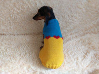 Clothes for a dachshund or small dog knitted winter wool warm jumper with a pattern