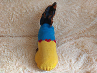 Clothes for a dachshund or small dog knitted winter wool warm jumper with a pattern