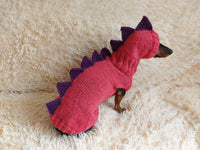 Dinosaur Dragon Costume Sweater and Hat Zoo Animal Clothes