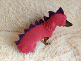 Dinosaur Dragon Costume Sweater and Hat Zoo Animal Clothes